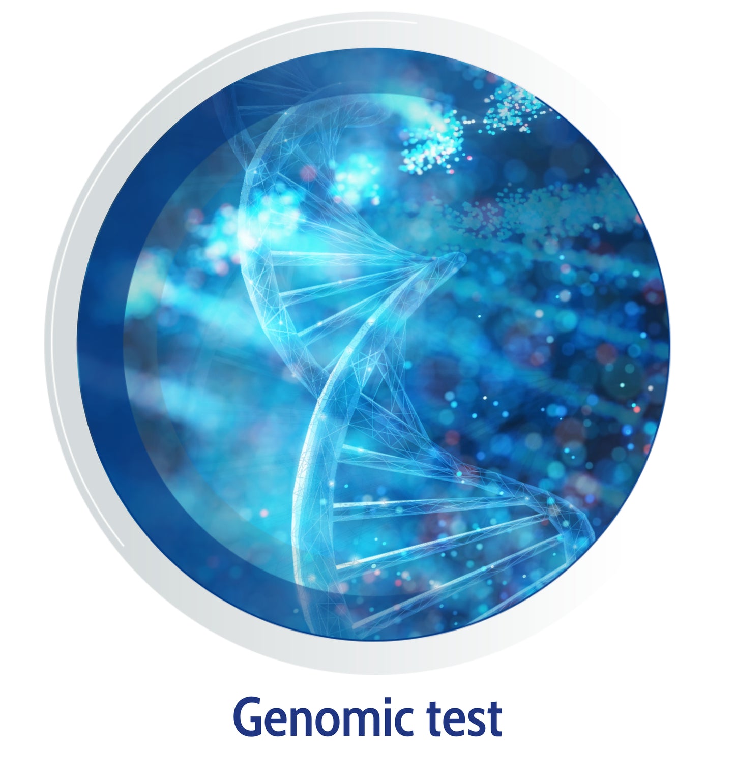 Cattle DNA Test